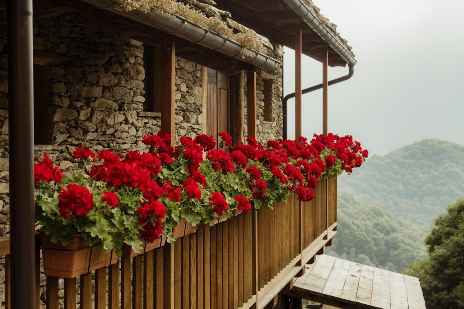 Rifugio Alpino Baudinet - Trek&Relax Panzió Chiusa di Pesio Kültér fotó